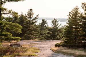 Muskoka Nature - Trails