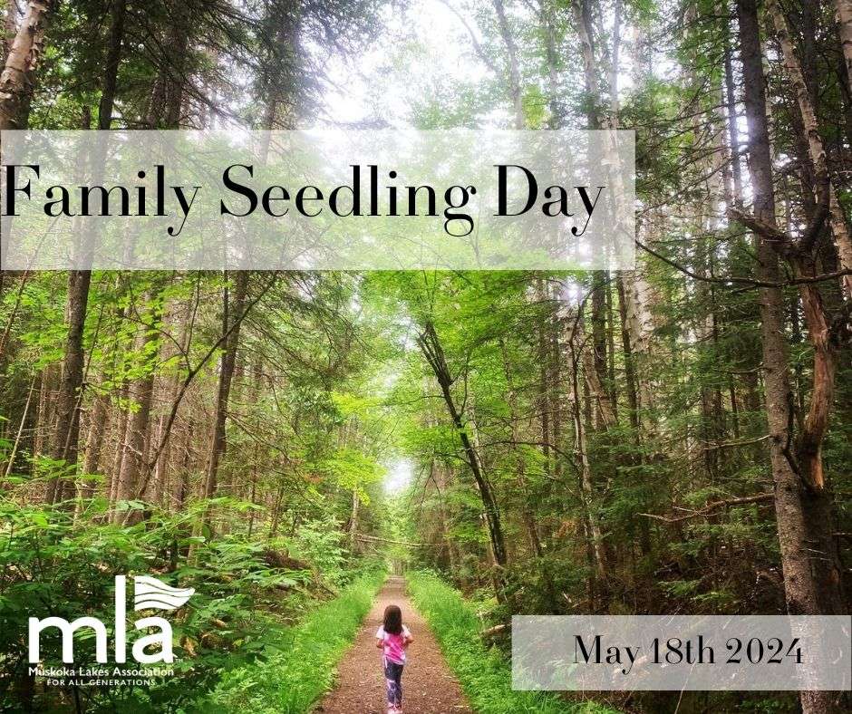 Muskoka Lakes Family Seedling Day