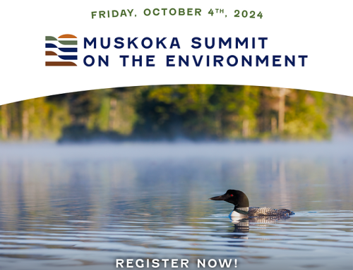 You can help shape the future of our Muskoka environment